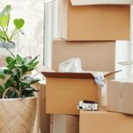 体験談：引っ越しで収入も夫婦関係も劇的に好転！その裏にあった“気”の使い方とは？